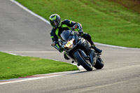 Lower Group Silver_Grey Bikes